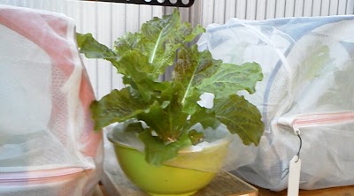 2013-11-19 07.02.05.jpg