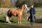 Game Over oktober 2010