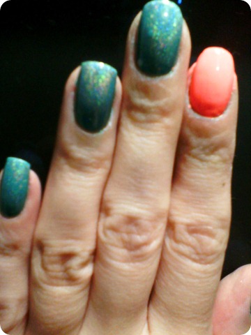 IMG02124 IMG02124