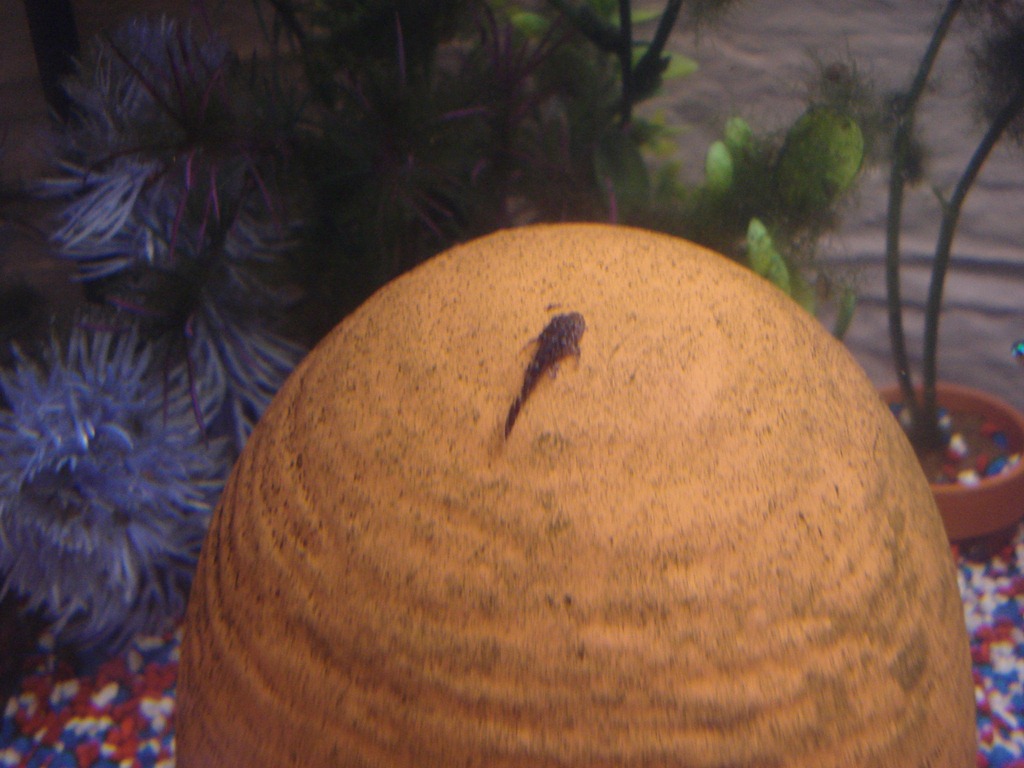 [DSC01409%255B5%255D.jpg]