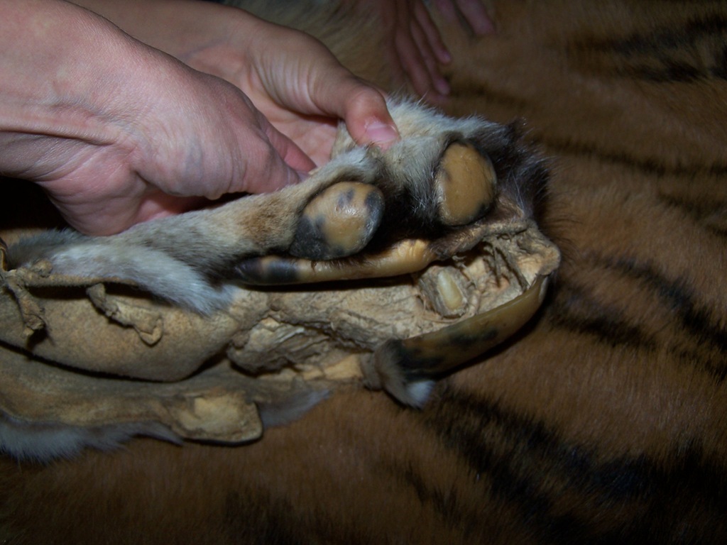 [100_3847%255B3%255D.jpg]