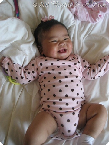 IMG_0952 IMG_0952