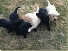 George and brothers and sisters