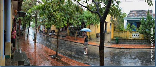 pho co hoi an 16 pho co hoi an 16