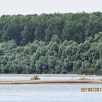 IMG_5568.JPG