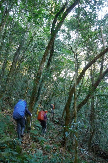 2013_0130-0131 復興雙障-嘎拉賀上唐穗山連走稜山_035