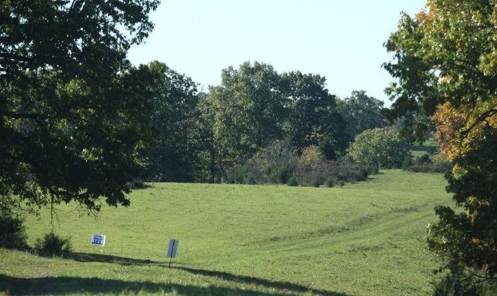 [pasture%255B2%255D.jpg]