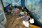 p1237340670(3).jpg