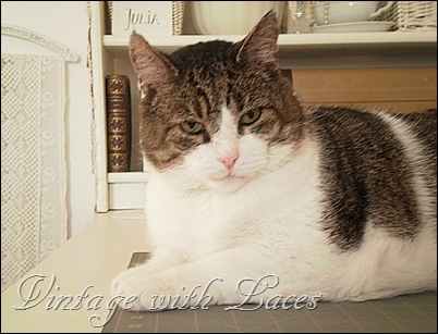 Studio Cat Cecil - Studio Tour 2012 - Vintage with Laces