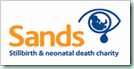 logo_sands
