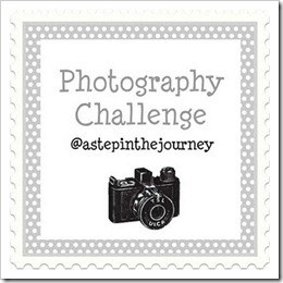 photo challenge button_2