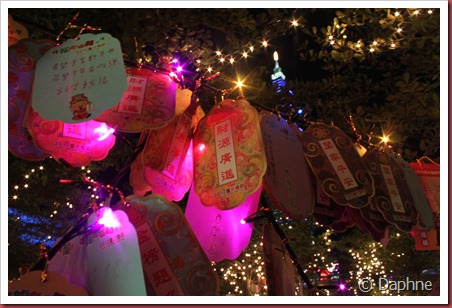 IMG_5194 IMG_5194