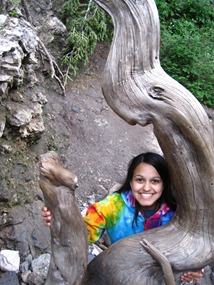 Driftwood