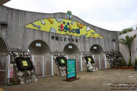 IMG_3482 IMG_3482