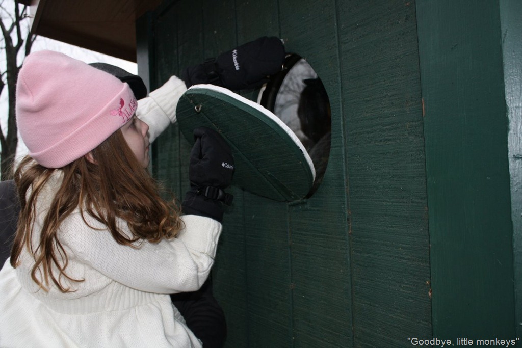 [IMG_4418%255B14%255D.jpg]