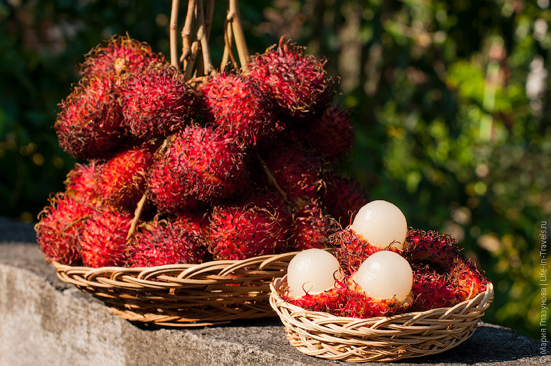Рамбутан (Rambutan) Рамбутан (Rambutan)