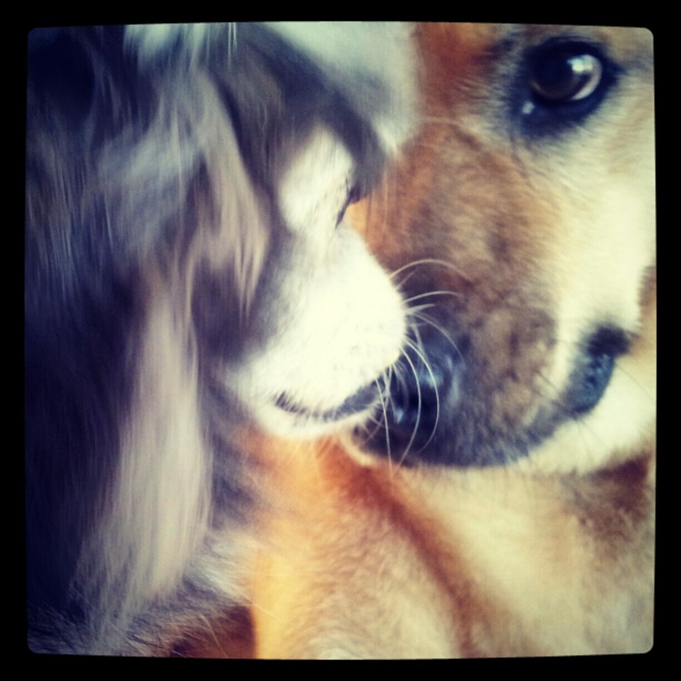 [IMG_20121015_090322%255B2%255D.jpg]