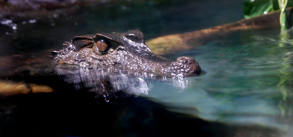 [aquariumaugust156.jpg]
