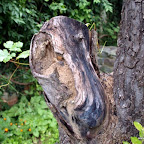 20100825_055_small.JPG