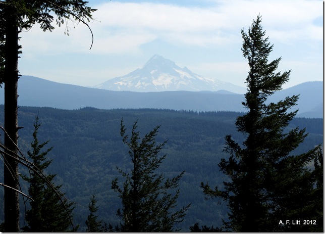 Mt. Hood from Bobs Mountain.  Skamania Co., Oregon.  September 13, 2012.  Photo of the day by A. F. Litt: September 18, 2012.