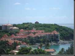 DSC03533