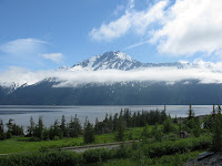 Bird Point