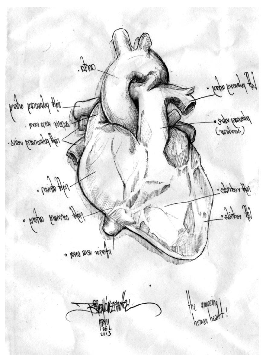 [heart%255B2%255D.jpg]