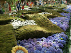 Dancing fountains at the Bellagio Conservatory and Botanical Garden.