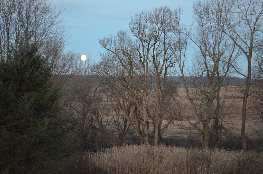 [DSC_0025%255B7%255D.jpg]