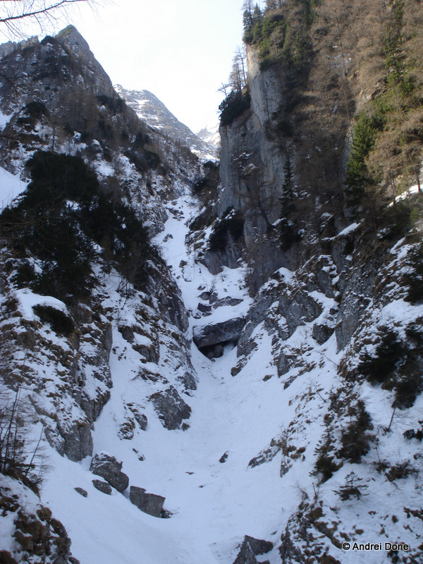 DSC00099.jpg