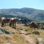 DSCF4871.JPG