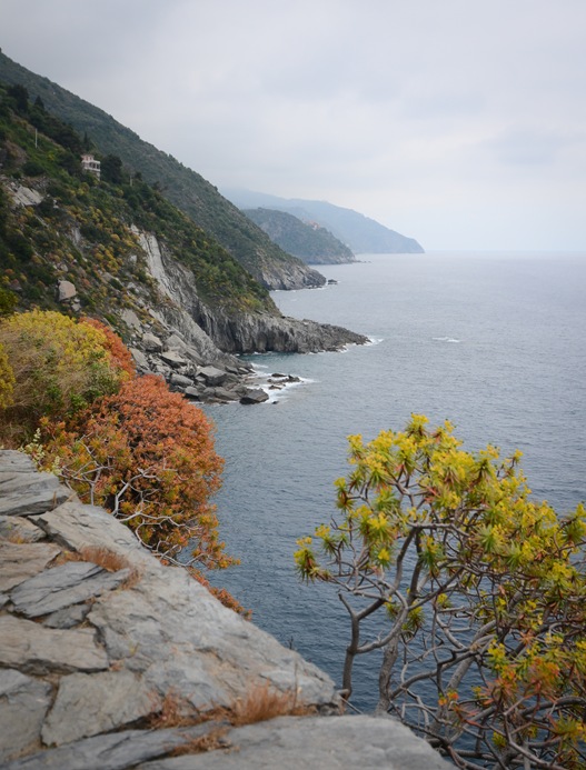 Vernazza view