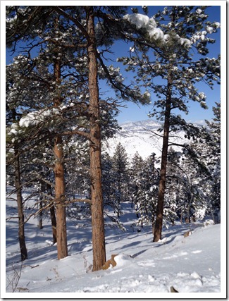 SKArunner_Lookout_Mountain