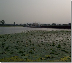 pawapuri