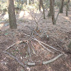 P1010023.JPG