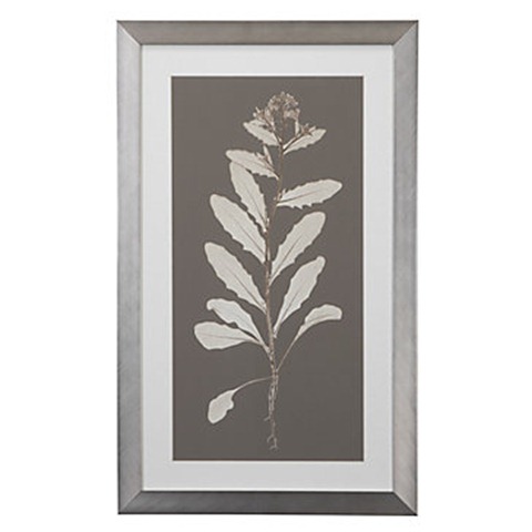 nature-study-4-taupe-730535561 nature-study-4-taupe-730535561
