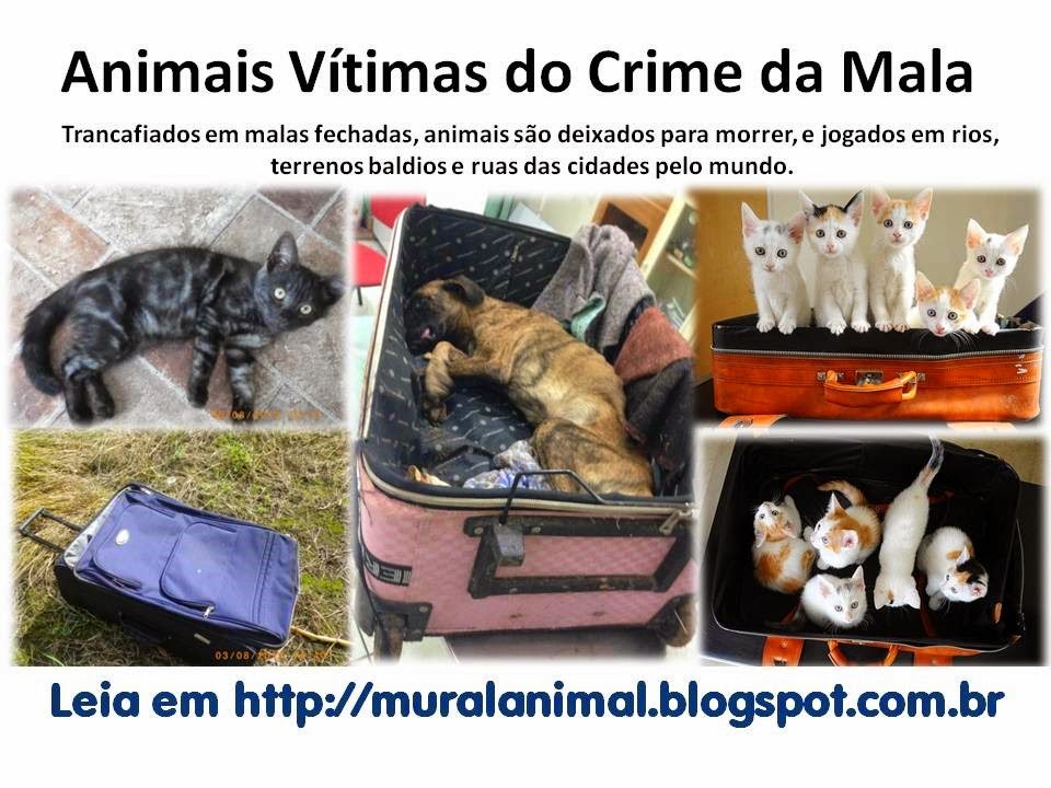 [Slide4%255B3%255D.jpg]