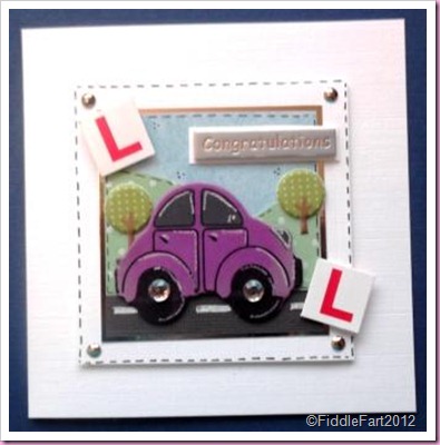 Driving Test Card Driving Test Card