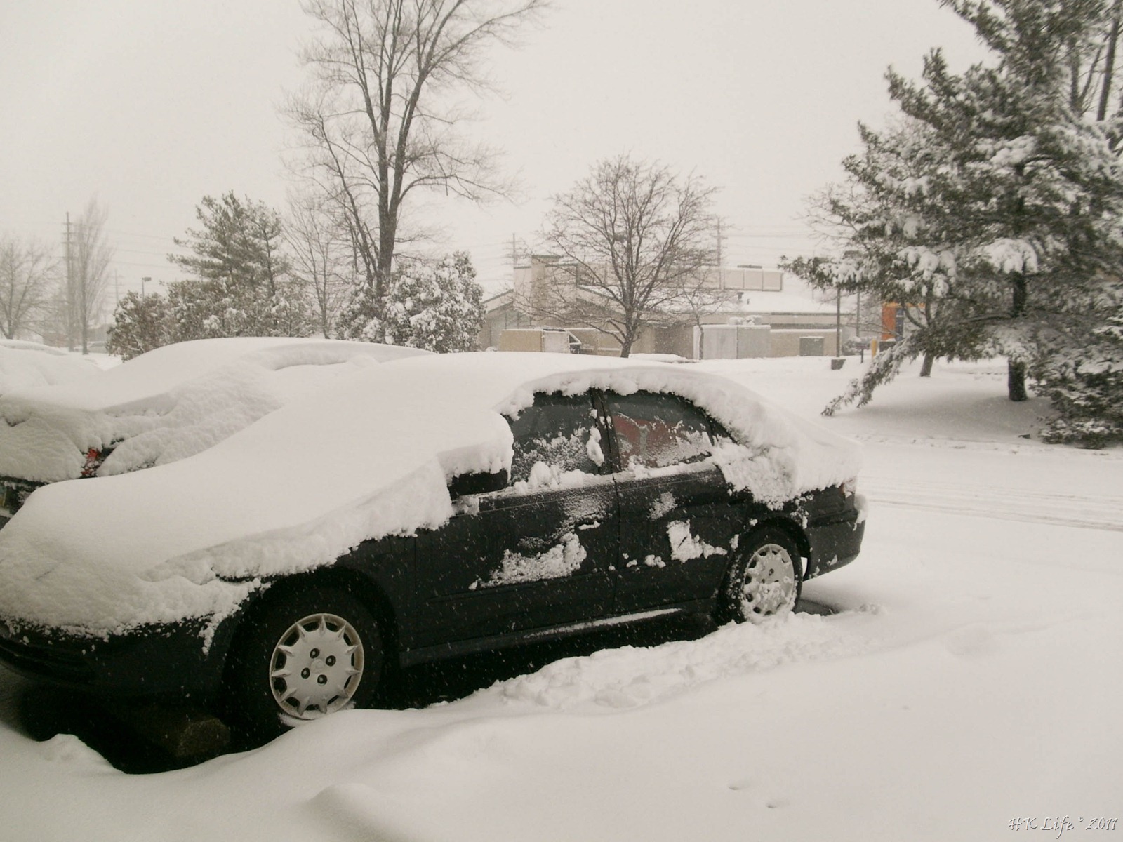 [P3110322%255B11%255D.jpg]