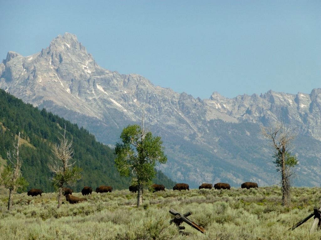 [Grand%2520Tetons%2520%25287%2529%2520%25281024x766%2529%255B4%255D.jpg]