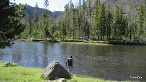 IMG_4018.jpg