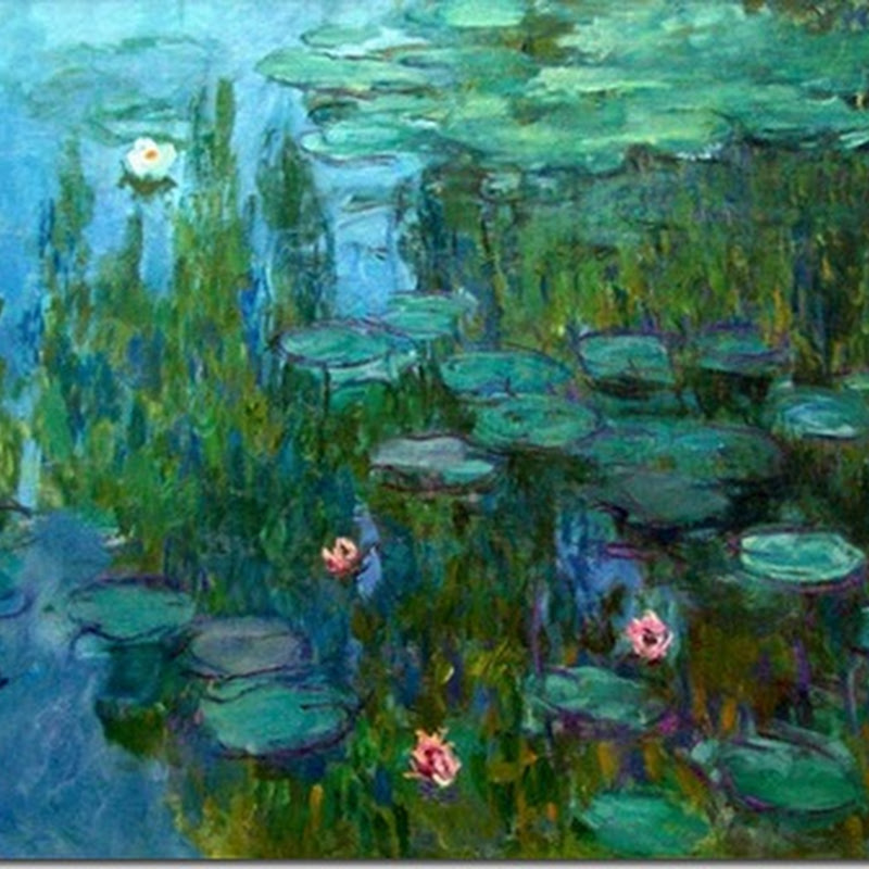 Claude Monet - Nuferi