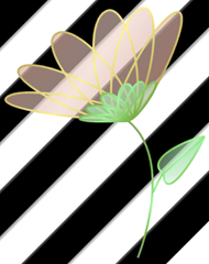 flower-sample-stripe flower-sample-stripe