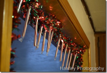 DSC_0010 DSC_0010