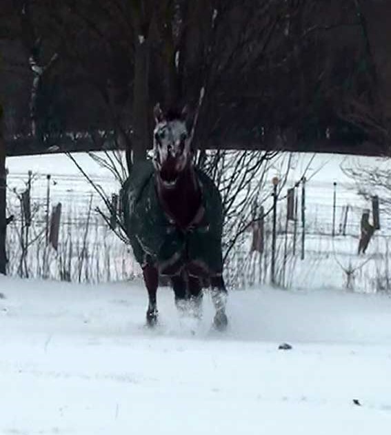 [Schnee18%255B5%255D.jpg]