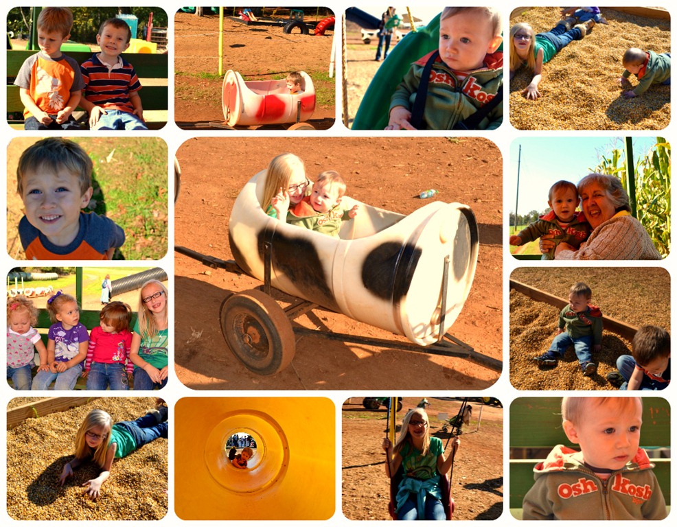 [Corn%2520Maze%2520collage%255B3%255D.jpg]