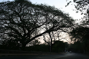 Round the curve