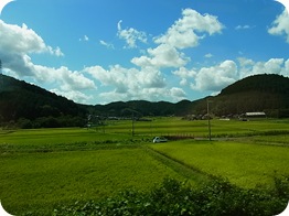 Exif_JPEG_PICTURE
