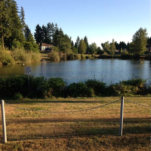 [IMG_0302%255B6%255D.jpg]