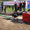 P1010255.JPG
